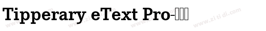 Tipperary eText Pro字体转换
